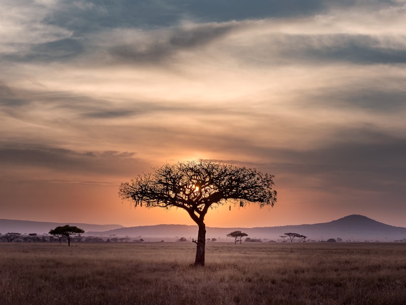 Africa